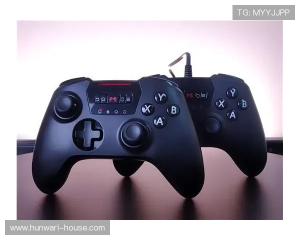 探索博鱼boyu平台多元化游戏产品满足不同用户需求的详细解析